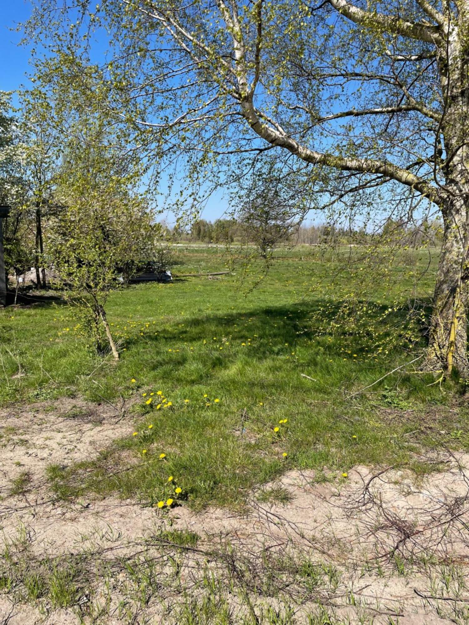 Domek Letniskowy Z Kortem Tenisowym Karwia Ostrowo Ostrowo (Puck) Exterior foto